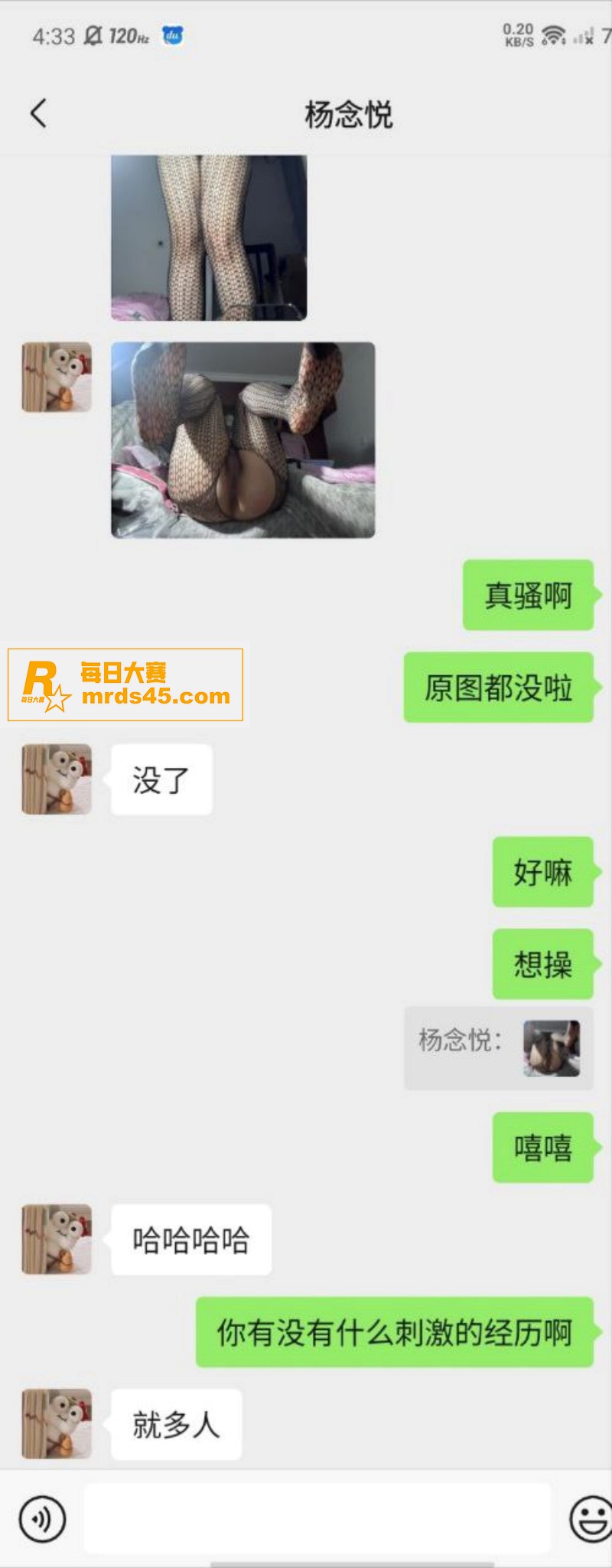 上海极品骚母狗 杨念相关图片5