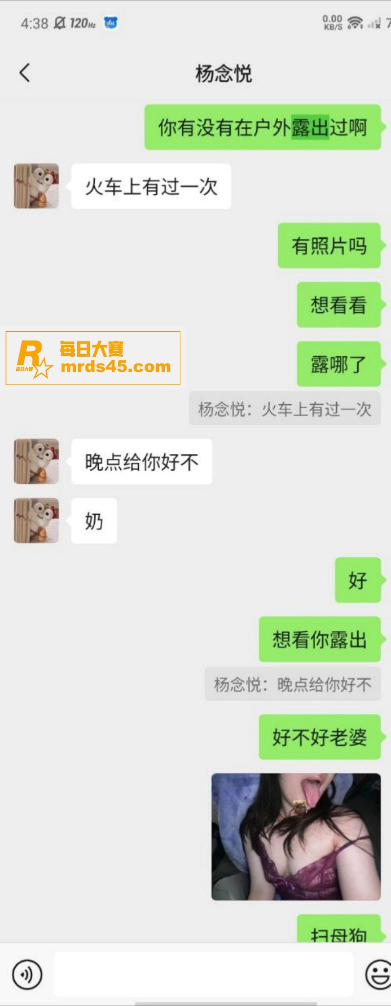 上海极品骚母狗 杨念相关图片6
