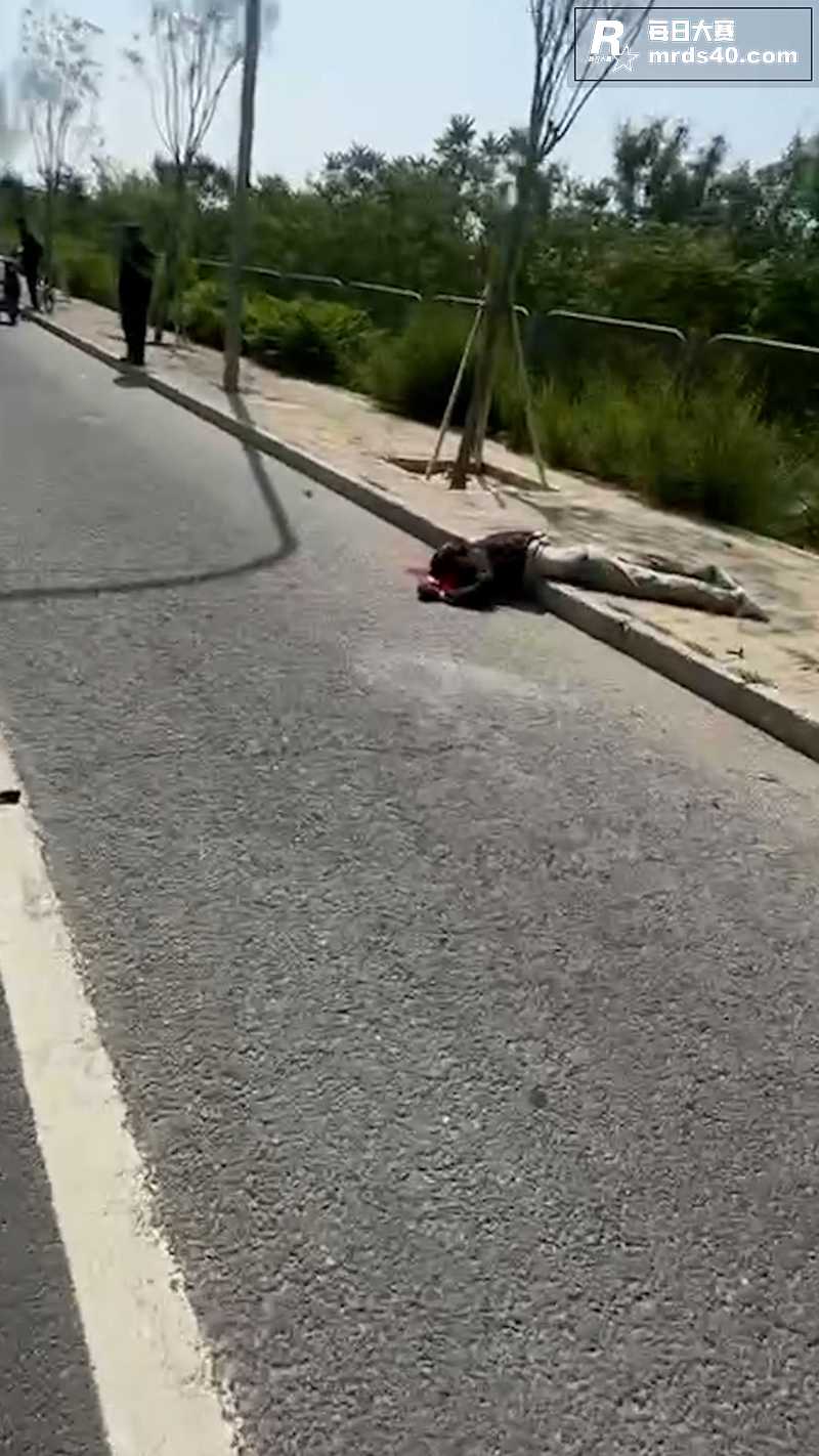 北京丰台区永定河 搅相关图片5