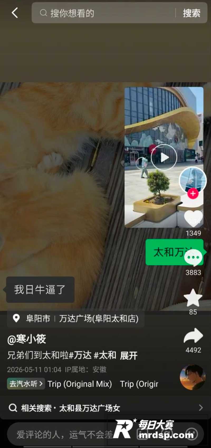 太和万达女子当众裸走相关图片2
