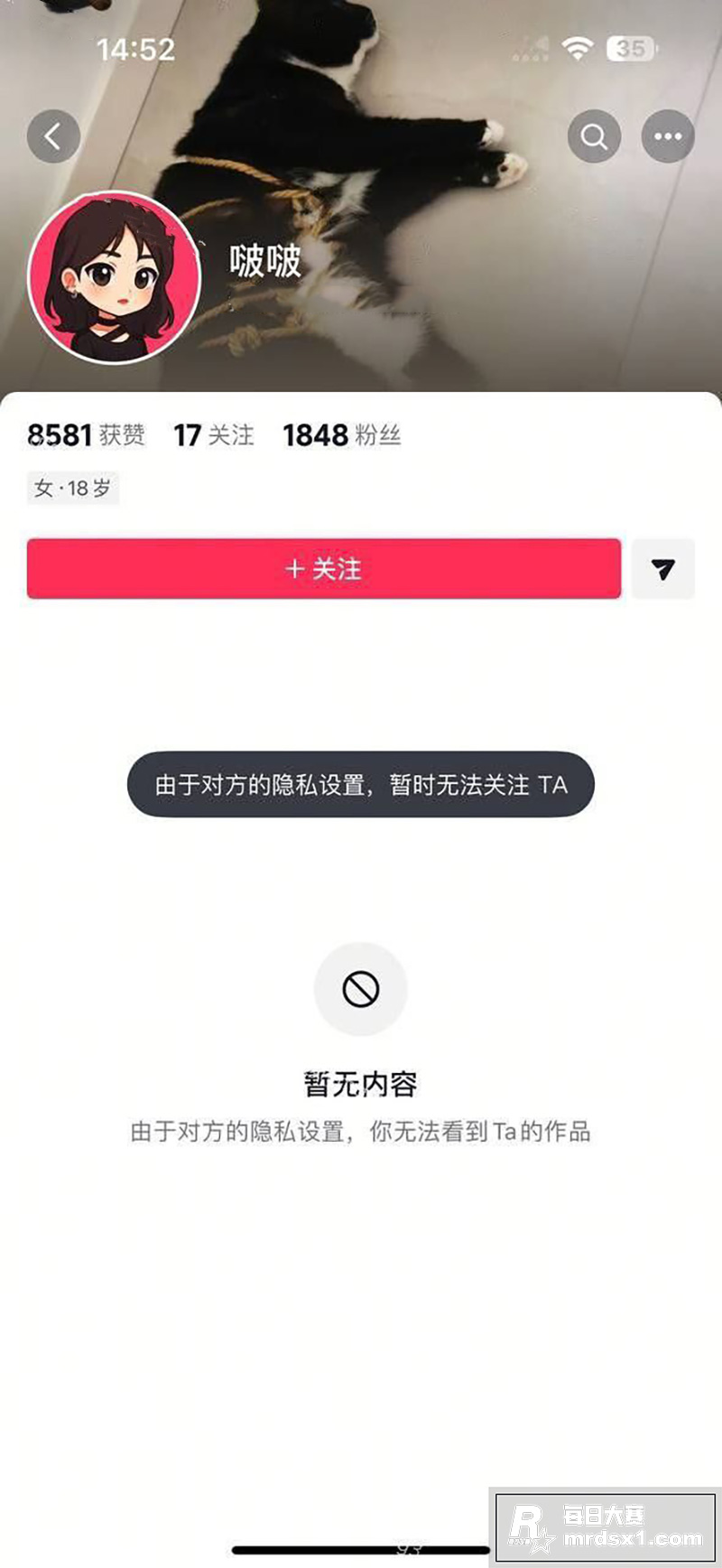 广东珠海高颜值清纯学相关图片1