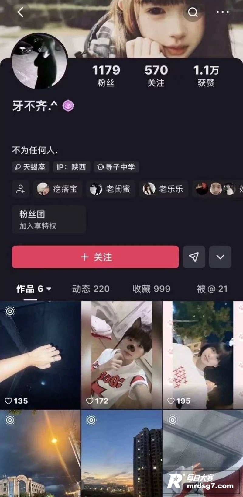 快手两名女子拍摄虐猫相关图片2