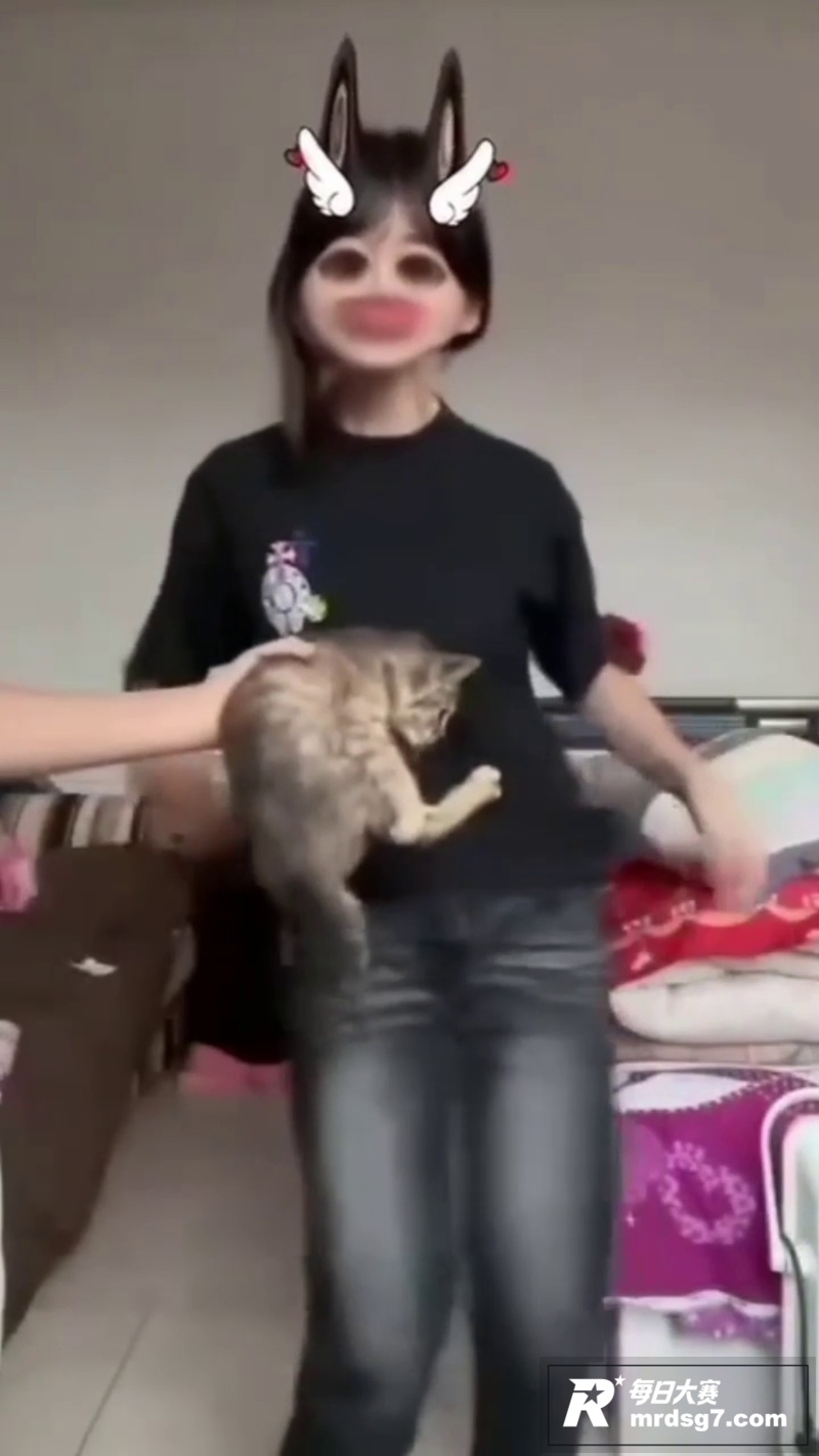 快手两名女子拍摄虐猫相关图片11
