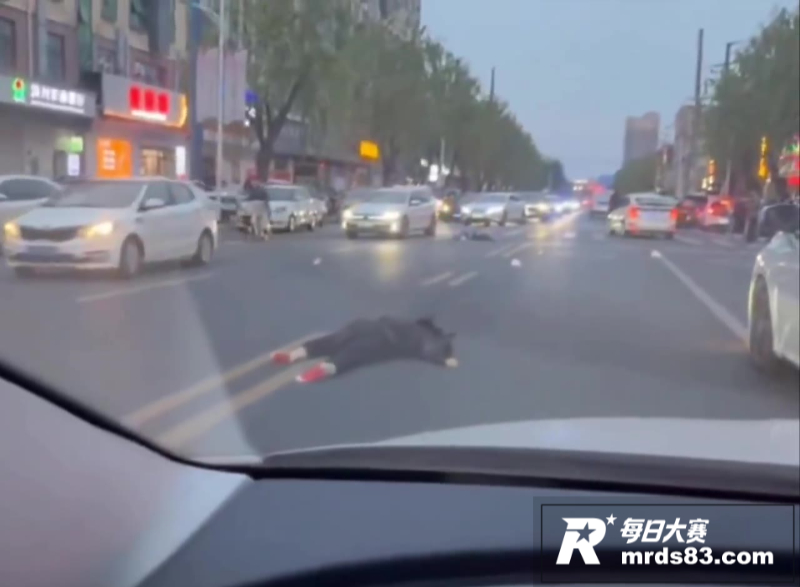 河北保定涿州街头惨案相关图片6