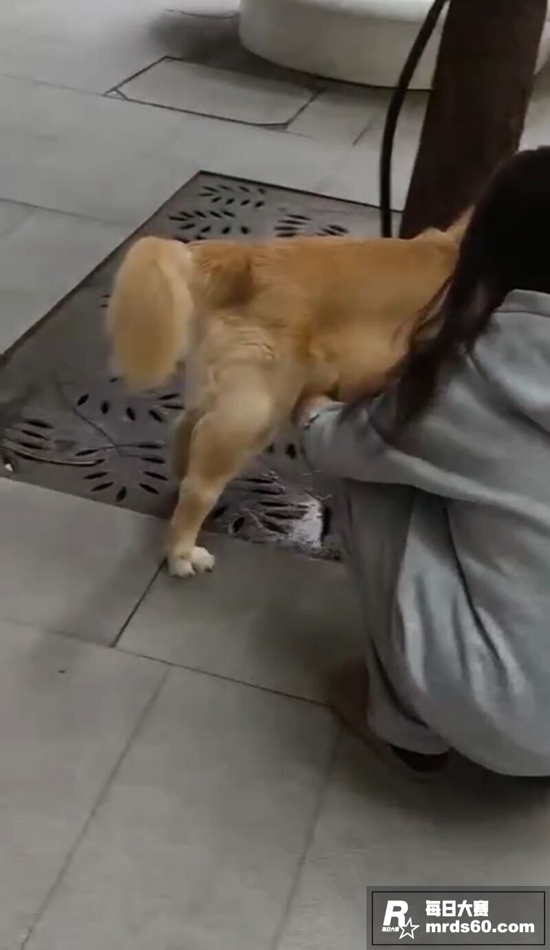 灰色卫衣高颜萝莉 帮相关图片3