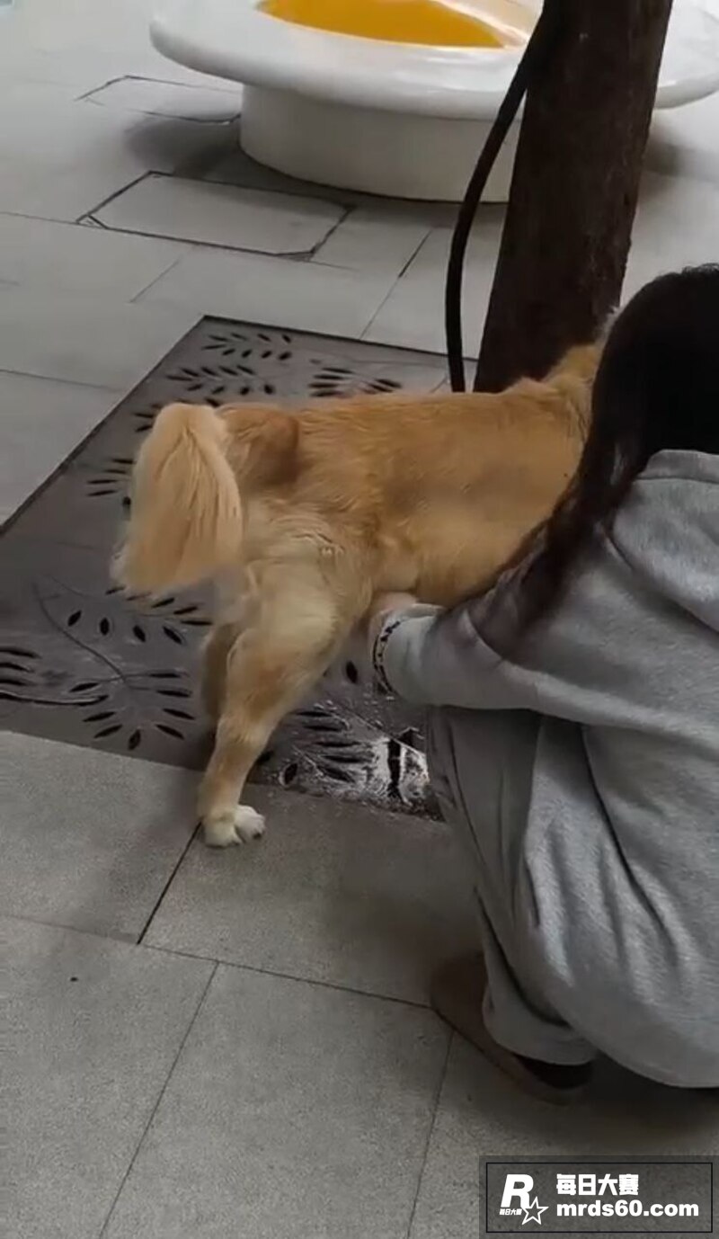 灰色卫衣高颜萝莉 帮相关图片5