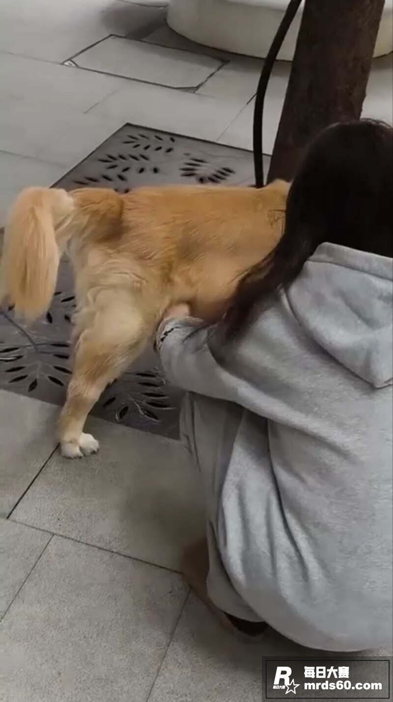 灰色卫衣高颜萝莉 帮相关图片6