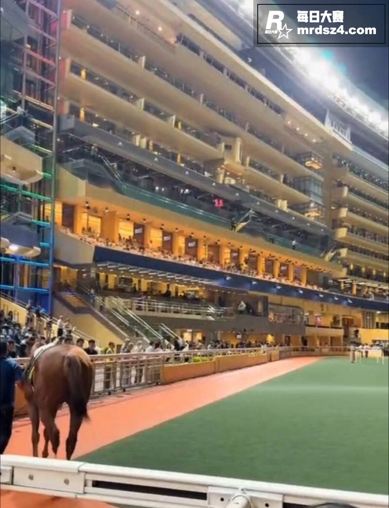 香港赛马会突发重大踩相关图片4