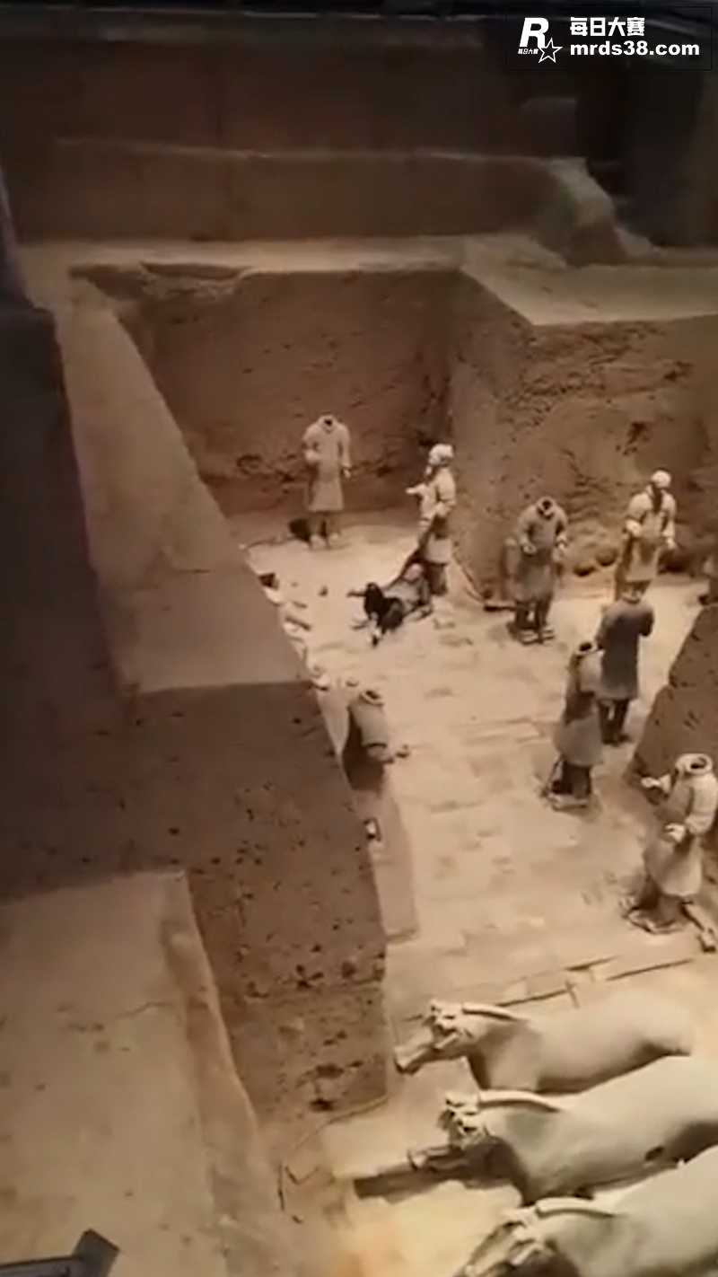 西安兵马俑旅游景点三相关图片2