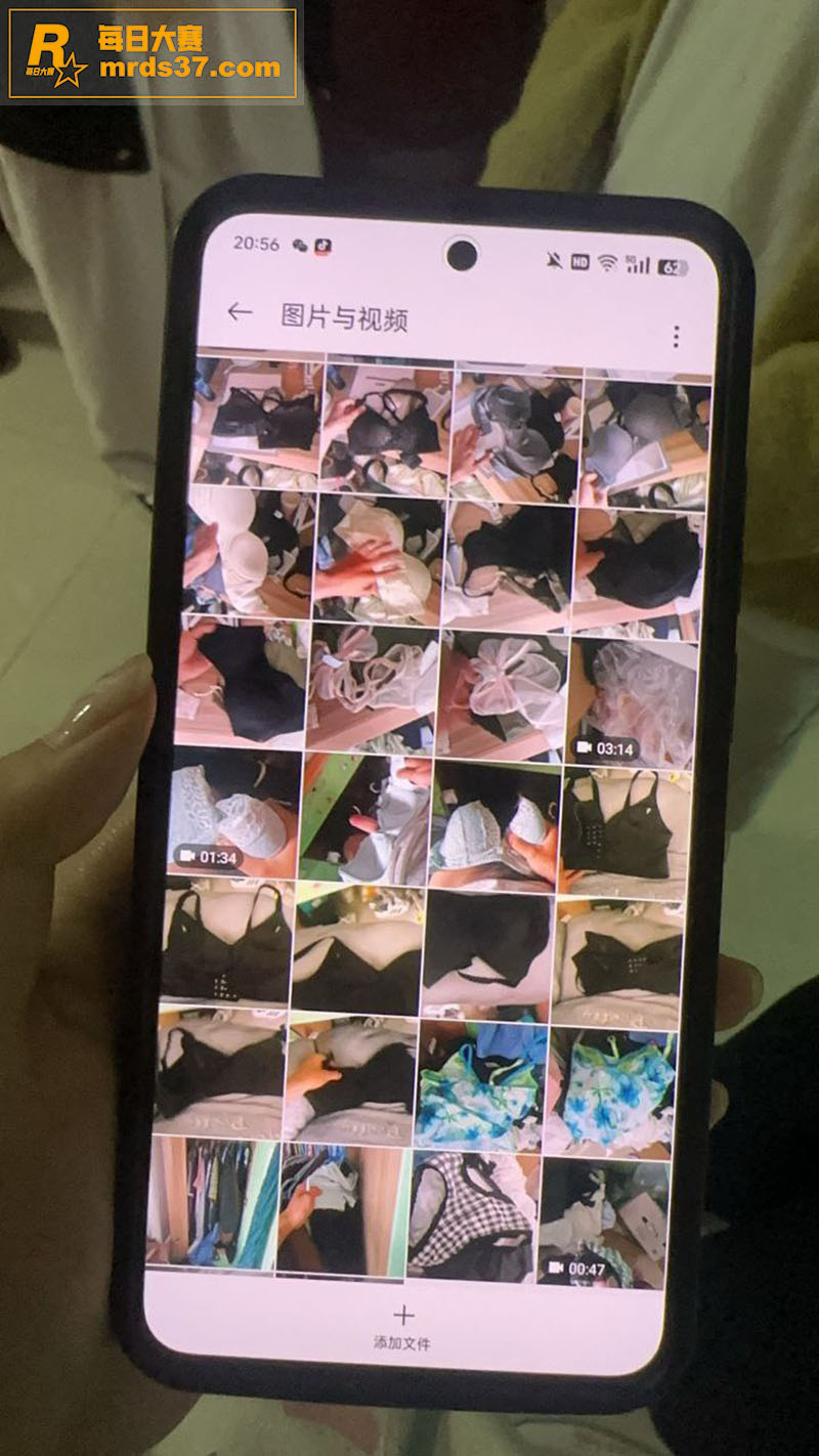 变态小伙偷女生内衣打相关图片1