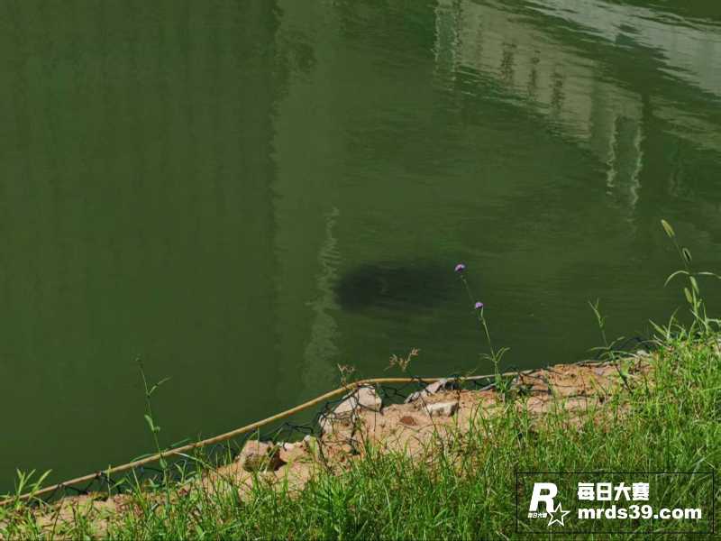 网传湖北武汉中国地质相关图片7