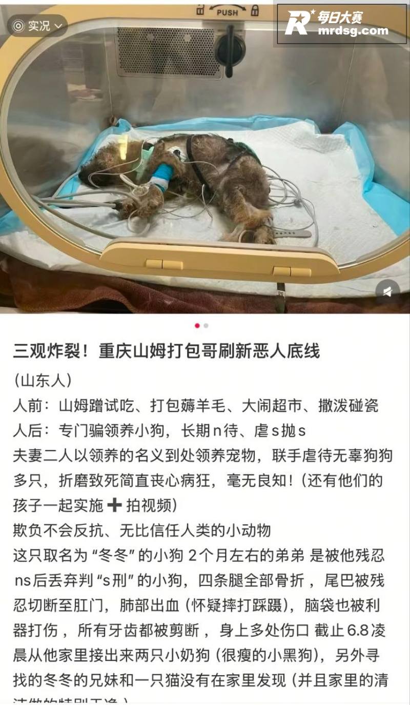 重庆山姆打包哥 李萌相关图片3
