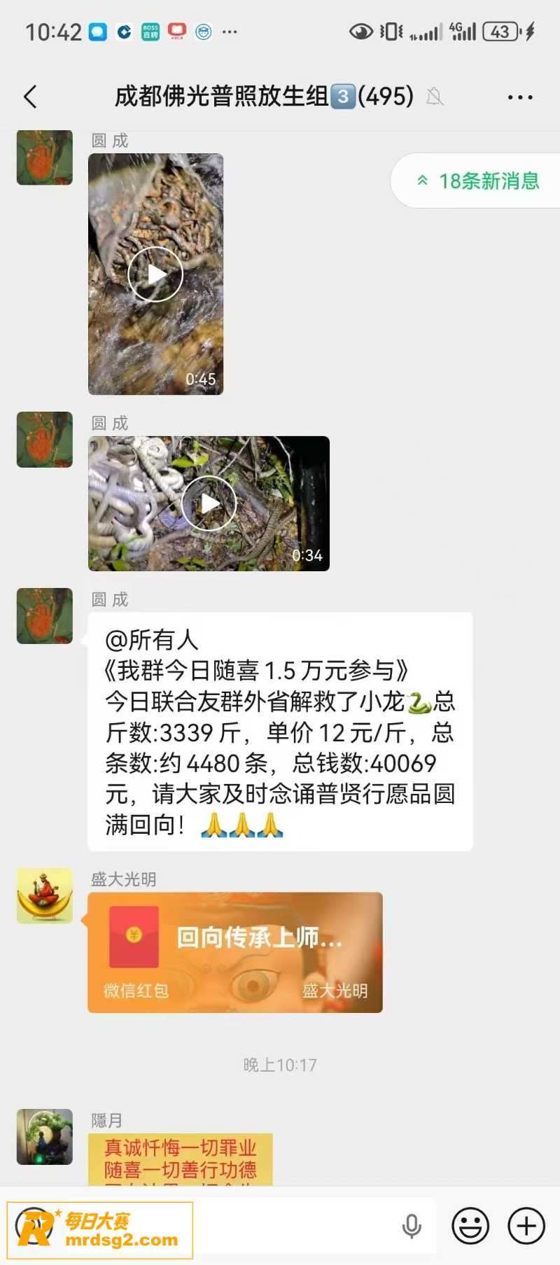 成都青龙湖惊现大规模相关图片5