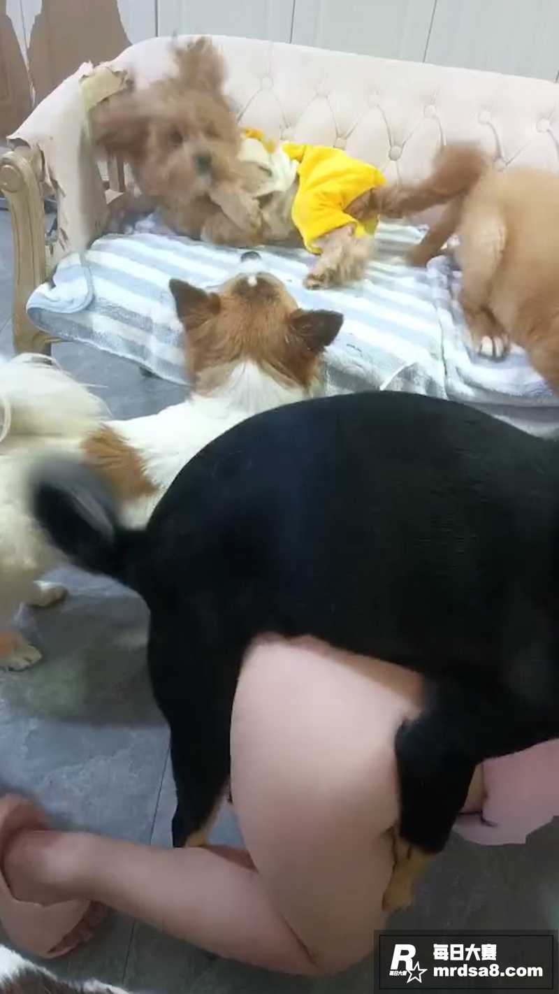 饥渴嫩妹 瞌睡小羊 相关图片8