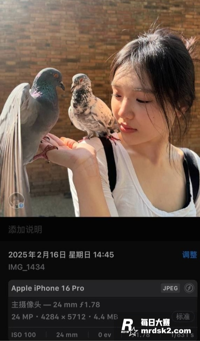 五万三天超极品伴游美相关图片7