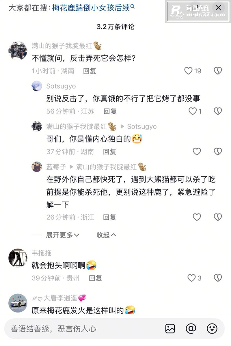 大连梅花鹿伤人事件！相关图片2