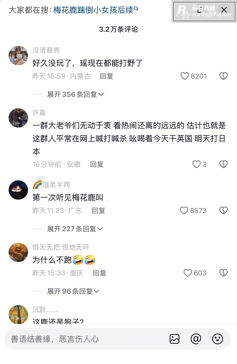 大连梅花鹿伤人事件！相关图片3
