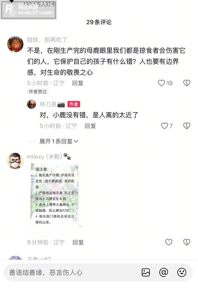 大连梅花鹿伤人事件！相关图片5