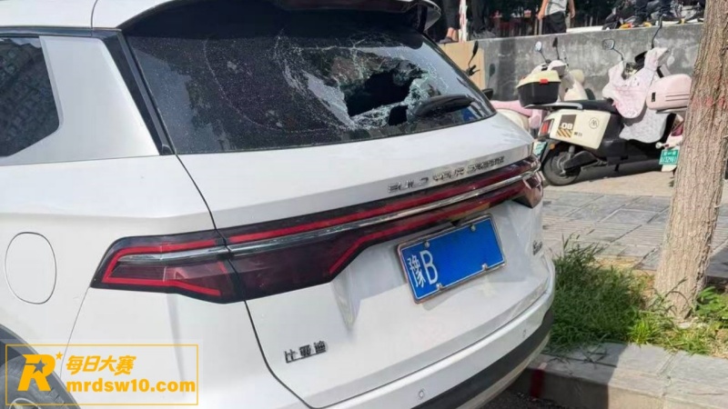 河南郑州街头突发疯狂相关图片15