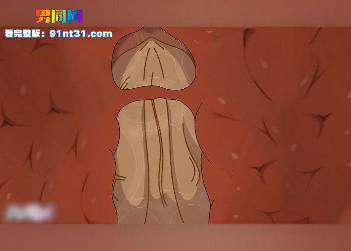 12.mp420260103191240.515WH700x500px