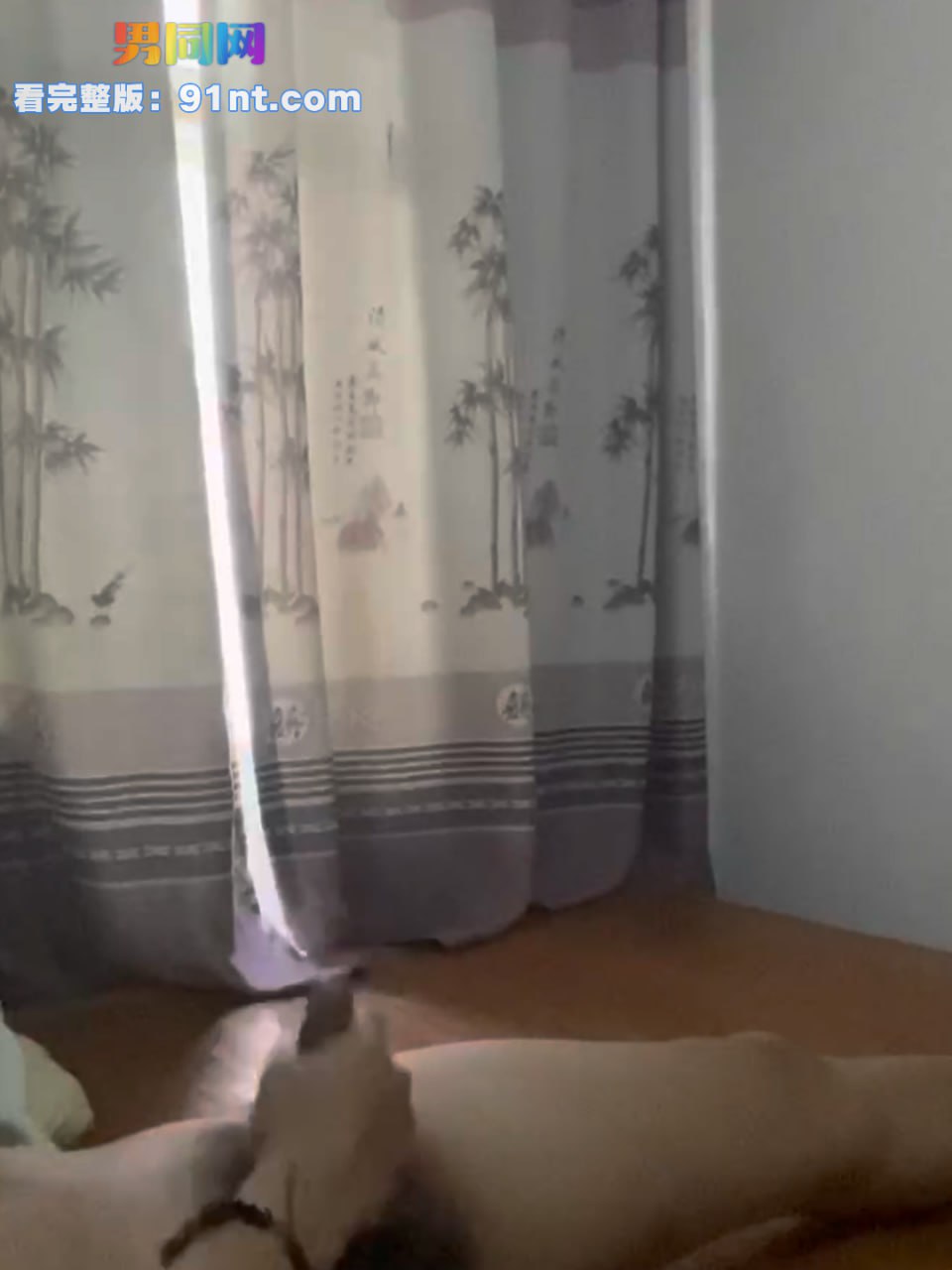西装帅哥反差专访 帅气贱狗求主人调教 骚浪自慰自虐反差十足 - 图9