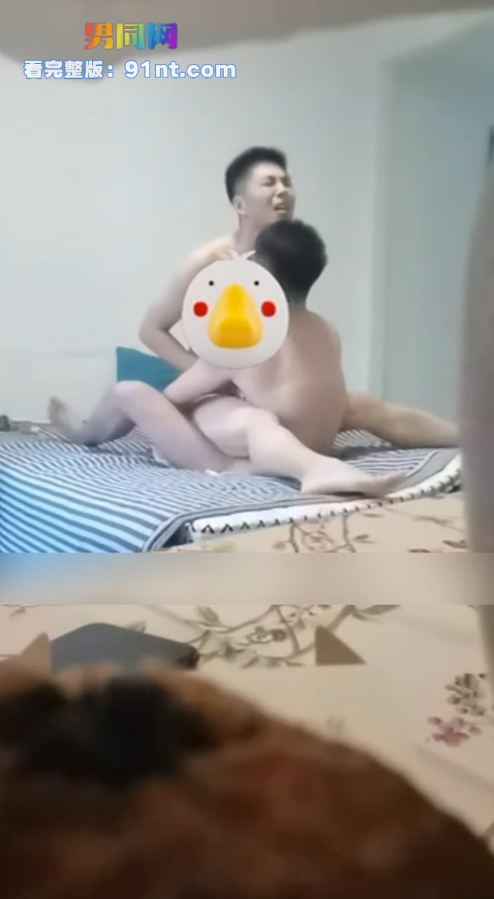 神似朱亚文和李现的结合体骚0约炮 紧致骚穴被操到哀嚎 真他妈又帅又爷们 - 图6