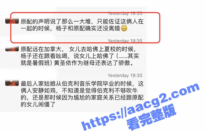 黄圣依自曝想与扬子离婚 真相竟是杨子出轨环球小姐冠军李隽子 偷情出轨不雅视频曝光 图8