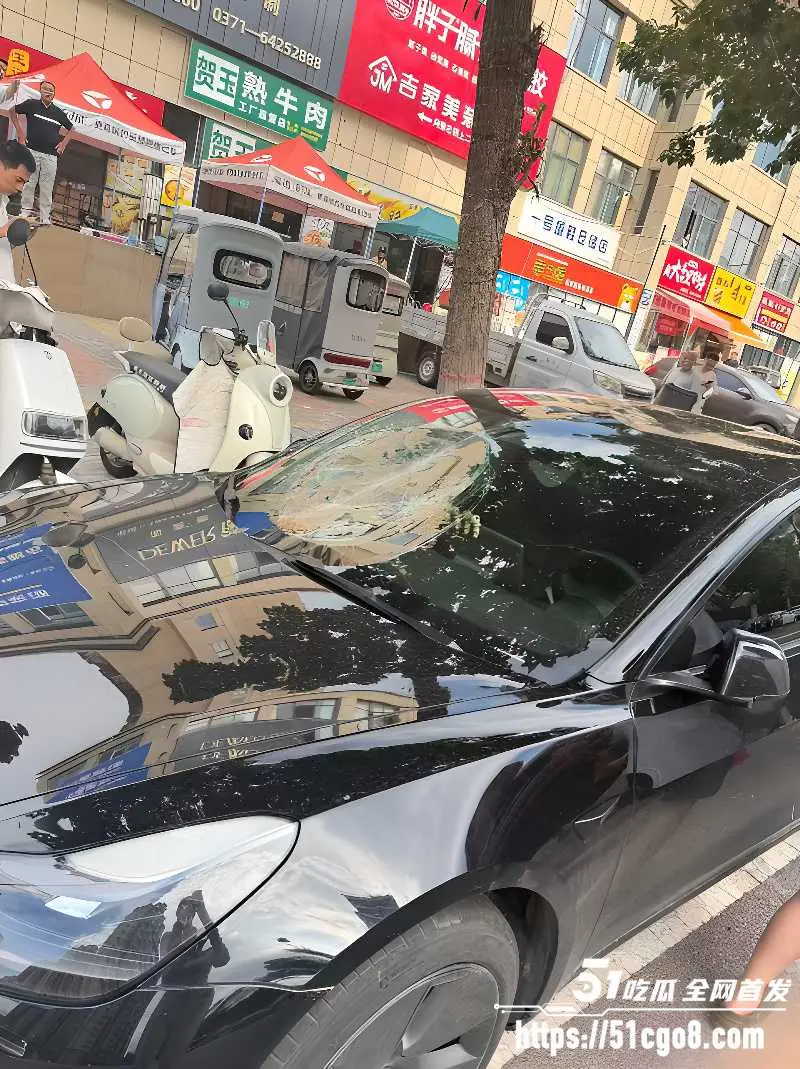 河南郑州男子无故砸车 砸完一条街后竟向特警车辆扔石头 被当场按倒疯狂抵抗 图8