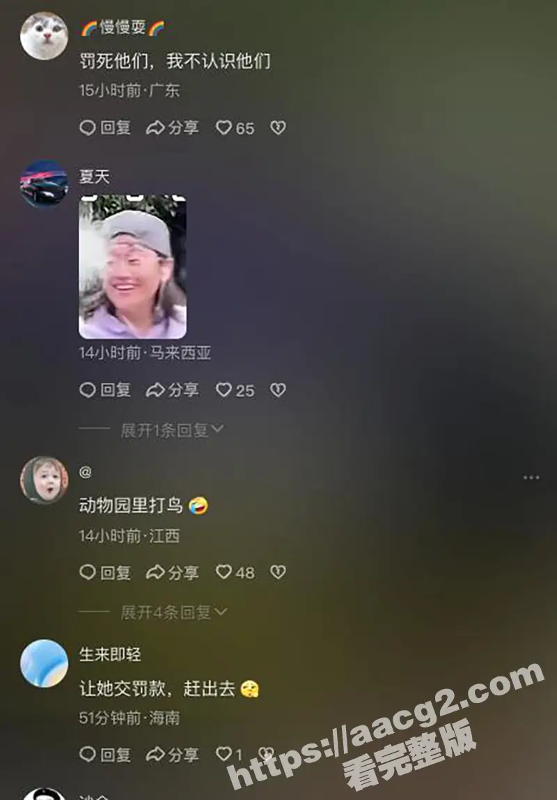 T0小仙女泰国丢人 动物园用弹弓打猴 事件霸占泰国热搜 无法无天到国外了 或将面临法律制裁 图5