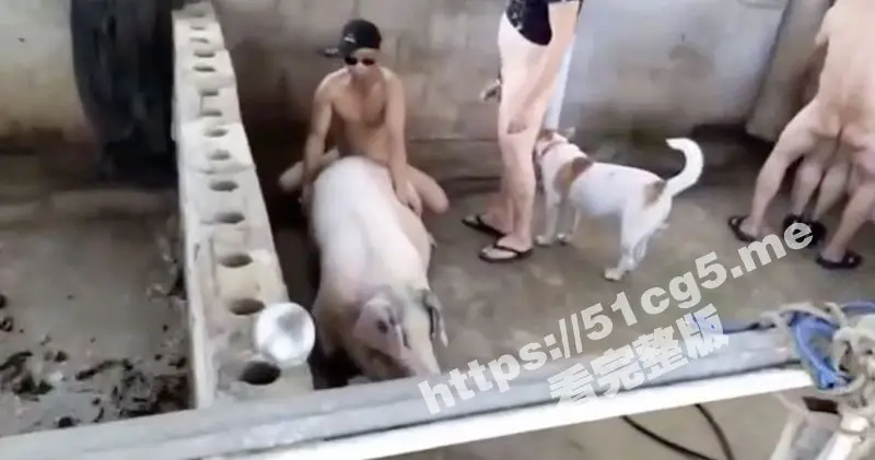 农家乐事件精华版 全世界最强的淫趴!不接受反驳 图1