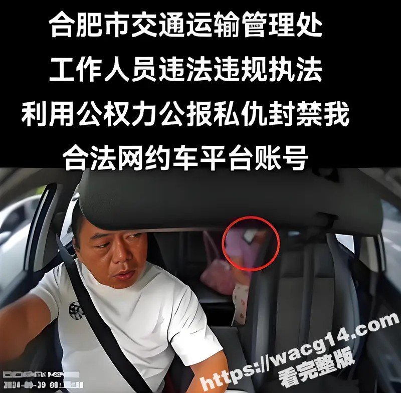 合肥亮证姐 强行执法女结局 司机身份曝光 官方通报 涉事人员调离岗位！ 图1