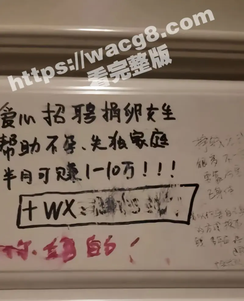 青岛汽贸城代孕实验室被曝光 把人当牲口明码标价75万一个包生包成 不知动了谁的蛋糕现在热度被压下 图1