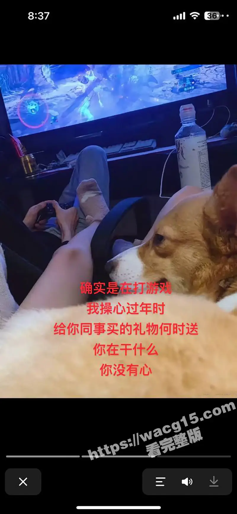 德云社秦霄贤 被前女友辛雨锡爆光出轨时女方偷拍视频!视频监控海量证据齐发实锤黑料 !演艺生涯翻车在即! 图19