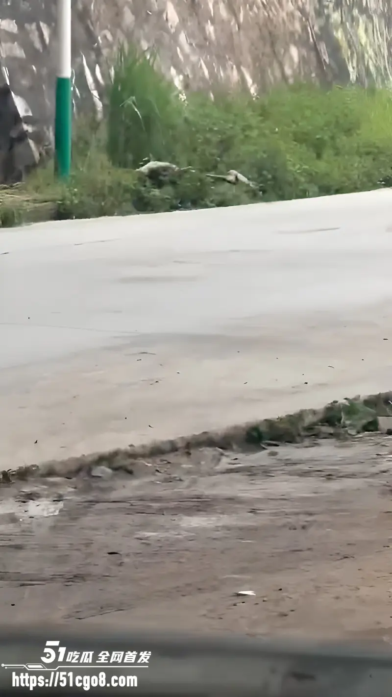 惊天大瓜 新营分尸案 伫立在道路旁边血迹斑驳 现场氛围令人毛骨悚然 胆小慎入! 图7