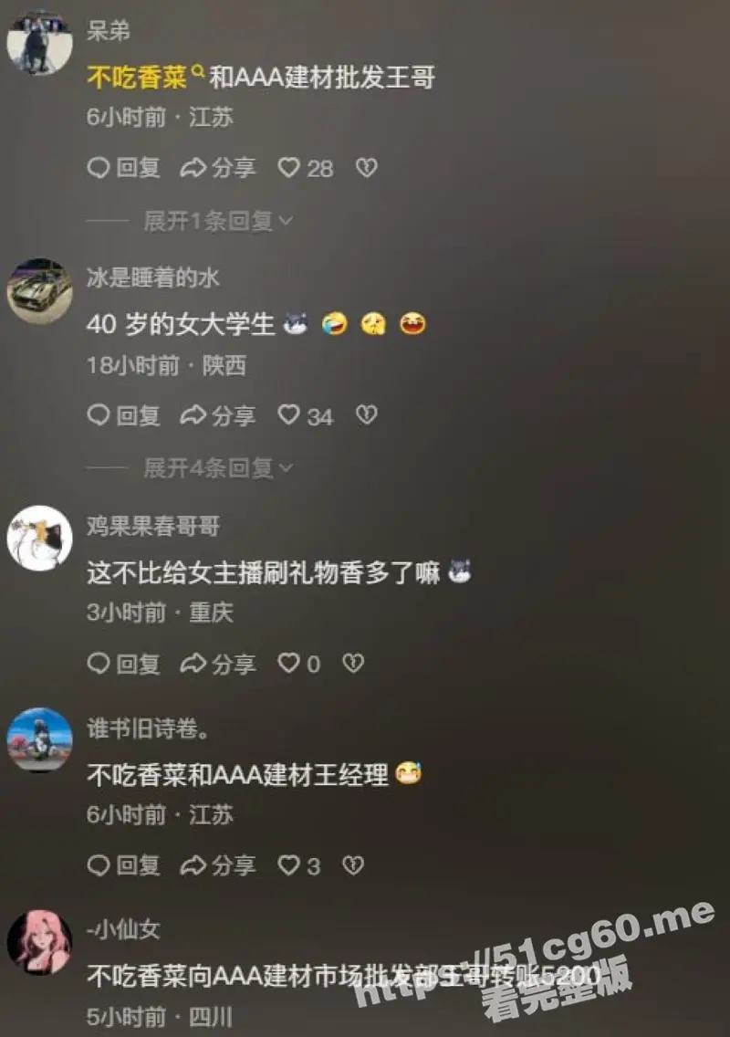 全网疯求 萝莉 不吃香菜和建材批发王哥的爱情故事 双马尾攻速套装真是最好的方向盘啊! 图2