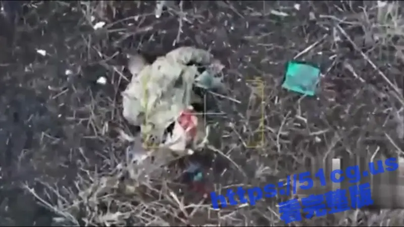 俄乌战争真实影像 士兵尸横遍野 身首异处 头都炸掉了 太残忍了! 图1