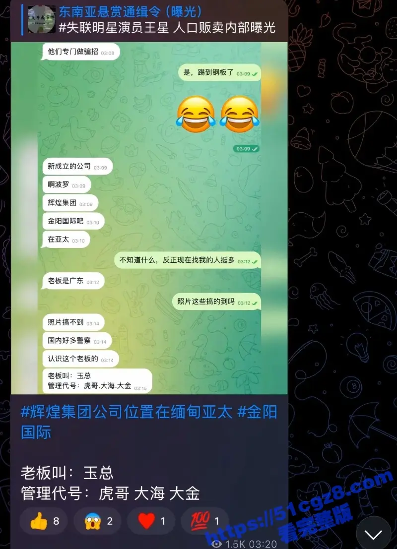 演员王星成功获救暂时不能回国 王星被骗全过程信息流出 牵出人口贩卖内部消息! 图6
