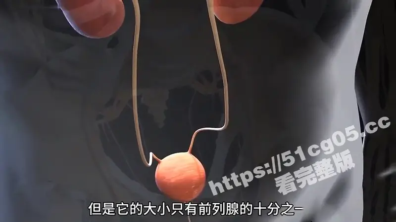 性爱课堂 带你领略女性高潮的秘密 女性高潮时潮喷的液体究竟是什么? 图8