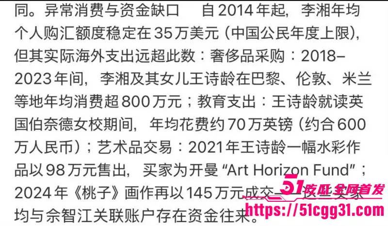 东南亚诈骗园区惊天内幕!赵薇李湘成为洗钱白手套 与电赌大佬深度绑定 助其撑起千亿黑产帝国! 图24