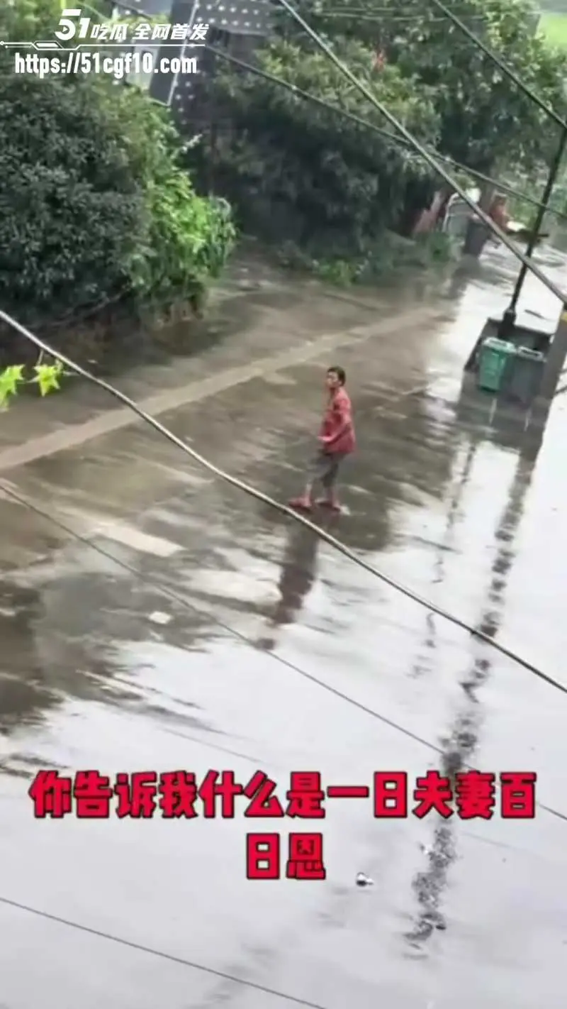 浙江白发老登 雨中持刀企图杀妻 这就是世人口中的爱情? 图2