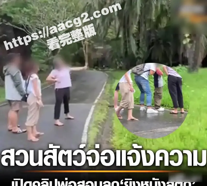 T0小仙女泰国丢人 动物园用弹弓打猴 事件霸占泰国热搜 无法无天到国外了 或将面临法律制裁 图2