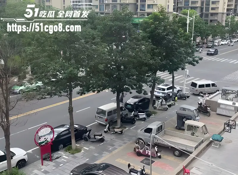 河南郑州男子无故砸车 砸完一条街后竟向特警车辆扔石头 被当场按倒疯狂抵抗 图1
