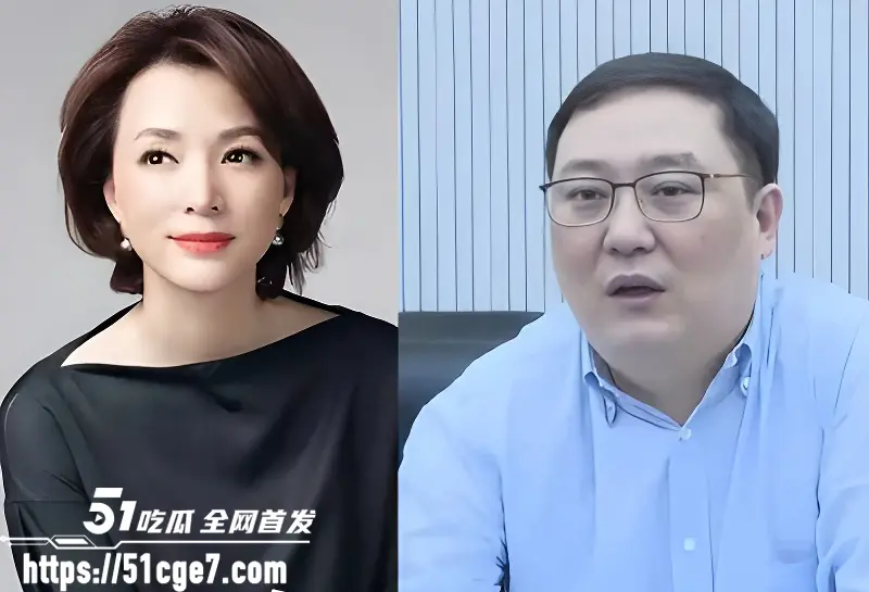 央视一姐 董卿 黑历史曝光 知三当三被高官包养十年 如今老公欠9亿失联沦为老赖! 图1