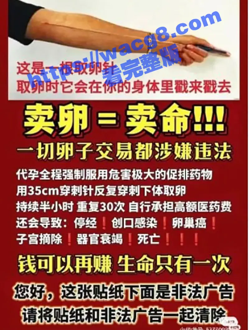 青岛汽贸城代孕实验室被曝光 把人当牲口明码标价75万一个包生包成 不知动了谁的蛋糕现在热度被压下 图13