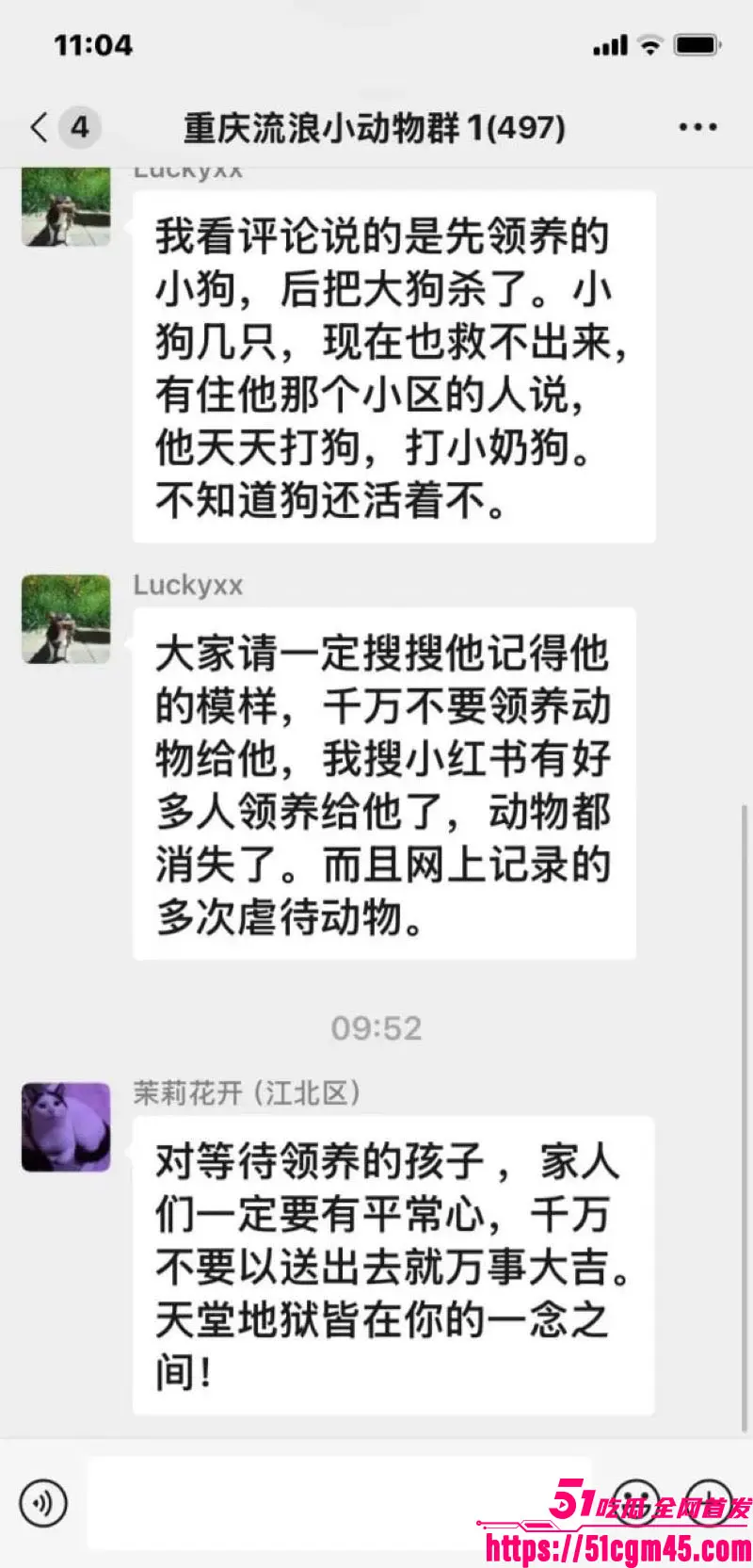 重庆山姆打包哥 李萌 领养小狗残忍虐杀致死 夫妻剪牙断尾骨折抛尸丧心病狂! 图16