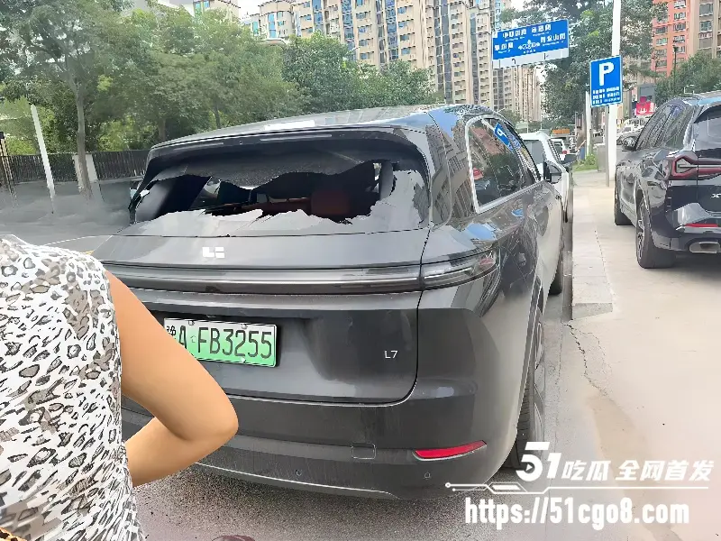 河南郑州男子无故砸车 砸完一条街后竟向特警车辆扔石头 被当场按倒疯狂抵抗 图5