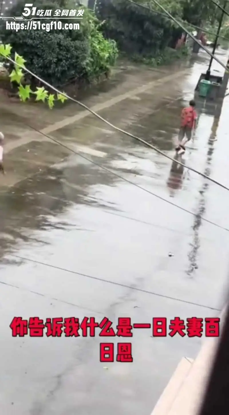 浙江白发老登 雨中持刀企图杀妻 这就是世人口中的爱情? 图3