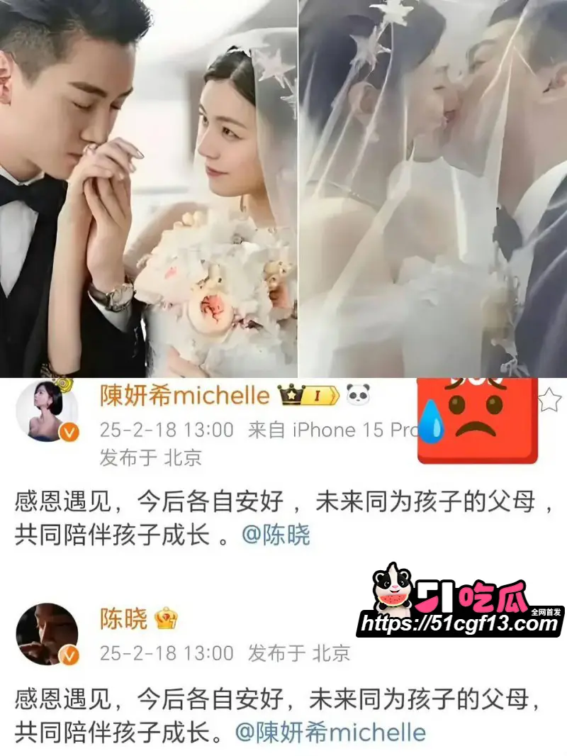 陈妍希综艺首谈离婚引爆全网 怒圈巨额财产 多段黑历史再度被扒 图12