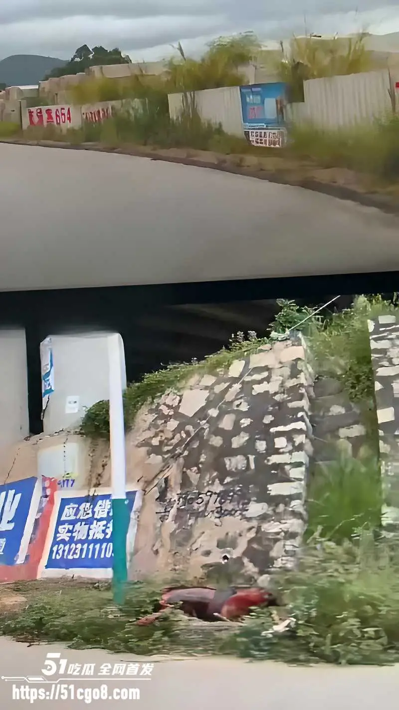 惊天大瓜 新营分尸案 伫立在道路旁边血迹斑驳 现场氛围令人毛骨悚然 胆小慎入! 图4