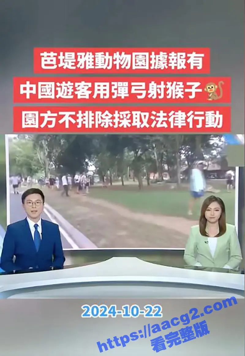 T0小仙女泰国丢人 动物园用弹弓打猴 事件霸占泰国热搜 无法无天到国外了 或将面临法律制裁 图1
